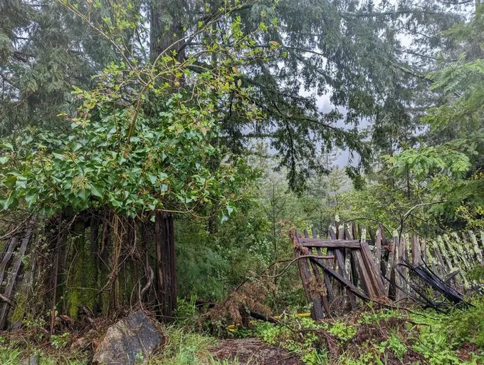 0 Glenwood Drive, Scotts Valley, CA 95033 for Sale
