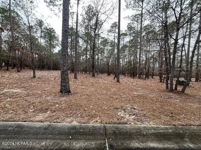 Bolivia, Brunswick County, NC Undeveloped Land, Homesites for sale Property ID: 418874685
