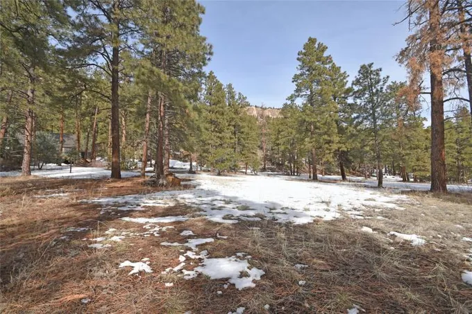 LOT 42A SPRUCE LOOP, Jemez Springs, NM 87025 Single Family Residence For Sale  MLS# 202400269
