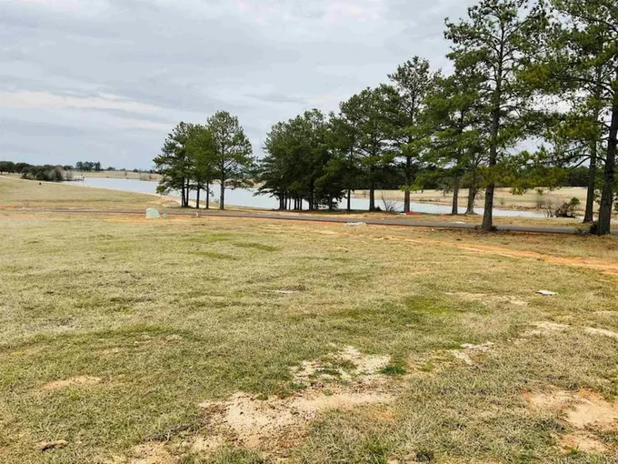 TBD LAKELAND RANCH LOT 11, Hillister, TX 77624 Land For Sale  MLS# 245140