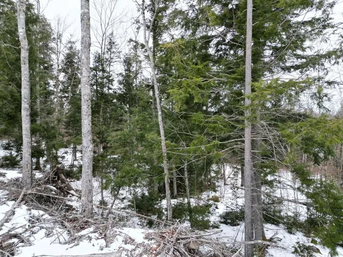 L-7 Mc Ginley Road, Springfield, ME 04487  624355003 for Sale