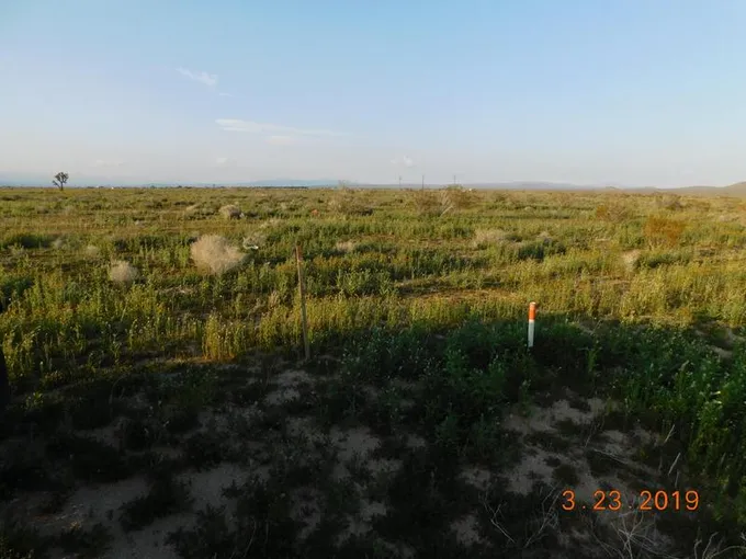 Magnolia Avenue, California City, CA 93505 for Sale