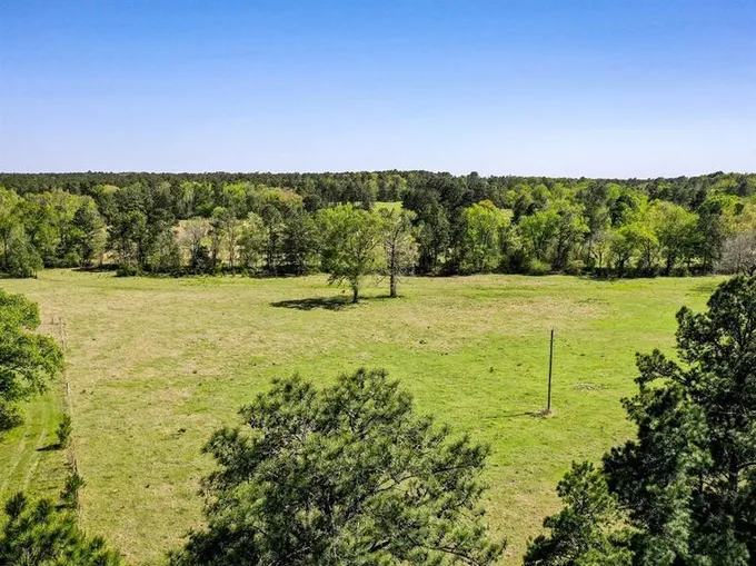 11 Black Jack Road, Huntsville, TX 77340 for Sale