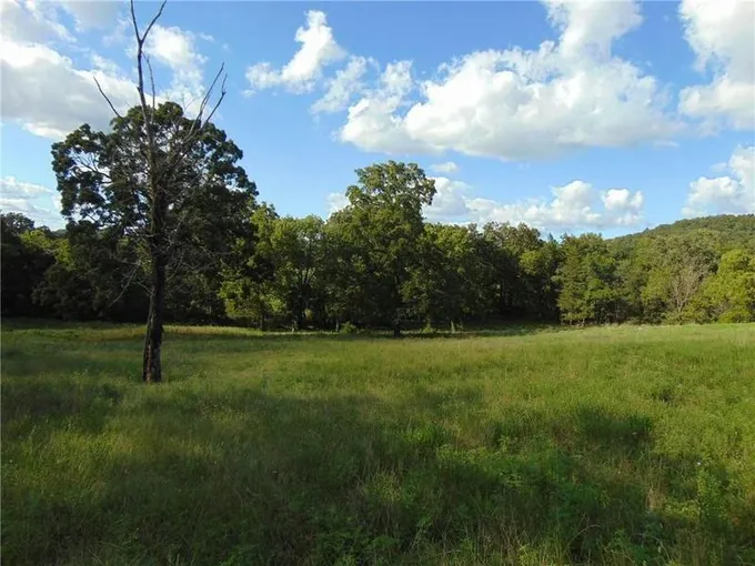 3390 COUNTY ROAD 608, Berryville, AR 72616 Land For Sale  MLS# 148536