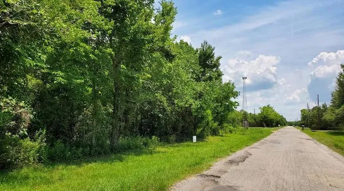 Tbd County Road 4872, Dayton, TX 77535 - MLS 32128692 for Sale