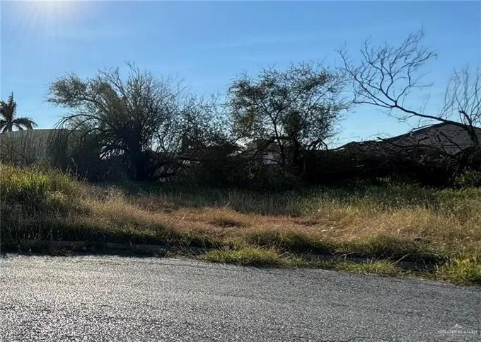 Mcallen, Hidalgo County, TX Undeveloped Land, Homesites for sale Property ID: 418774894
