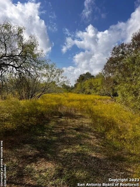 3920 FM 713, Lockhart, TX 78644 for Sale