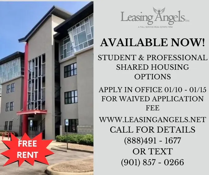 Furnished Midtown, Memphis Area room for rent in 4 Bedrooms, Apartment for 825 per month. Room ID 4738186