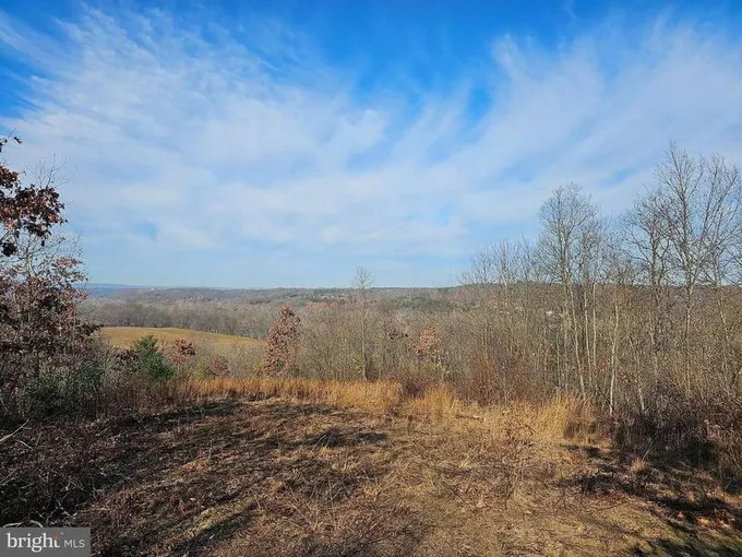 60 NEEDHAM LANE, BERKELEY SPRINGS, WV 25411  624114811 for Sale