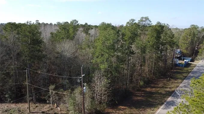 25416 Cambridge Boulevard, New Caney, TX 77357 for Sale