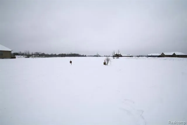 6285 VICTORIA LN, Swartz Creek, MI 48473 Land For Sale  MLS# 20240005954