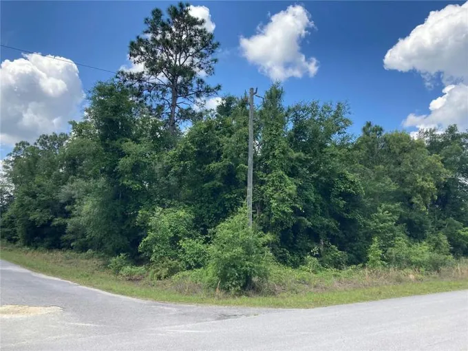 TBD SW TARPON BOULEVARD, DUNNELLON, FL 34431 Land For Sale  MLS# OM672227