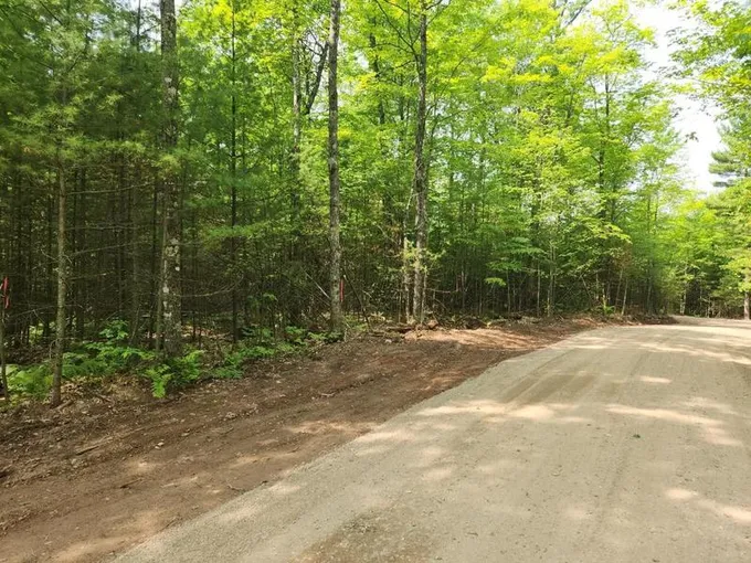 Conover, Vilas County, WI Undeveloped Land, Homesites for sale Property ID: 417167708