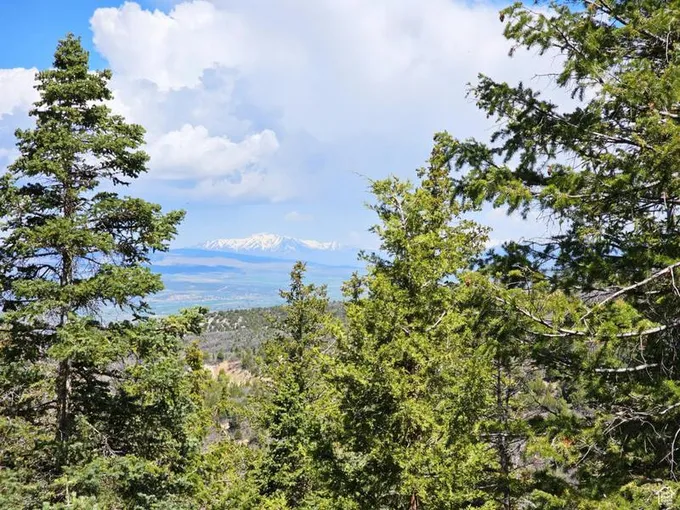 58 TIMBER RIDGE RD # A58, Mt Pleasant, UT 84647 Land For Sale  MLS# 1977000