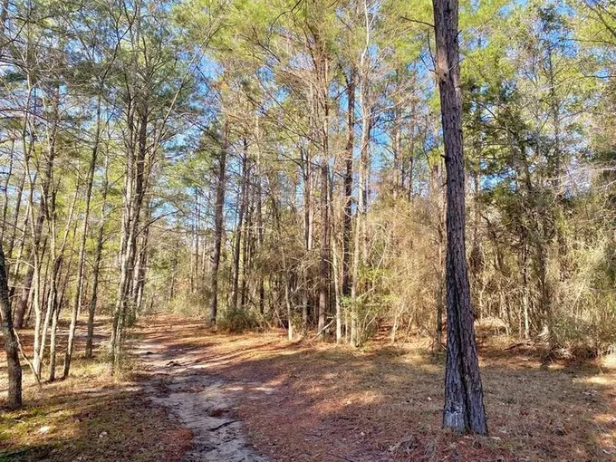 TBD Marina Road, Trinity, TX 75862 for Sale