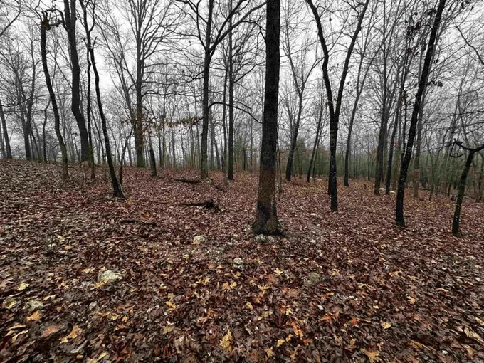 0 BARNES RD, Evening Shade, AR 72532 Land For Sale  MLS# 24002515