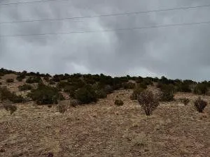 Placitas, Sandoval County, NM Undeveloped Land, Homesites for sale Property ID: 418763782