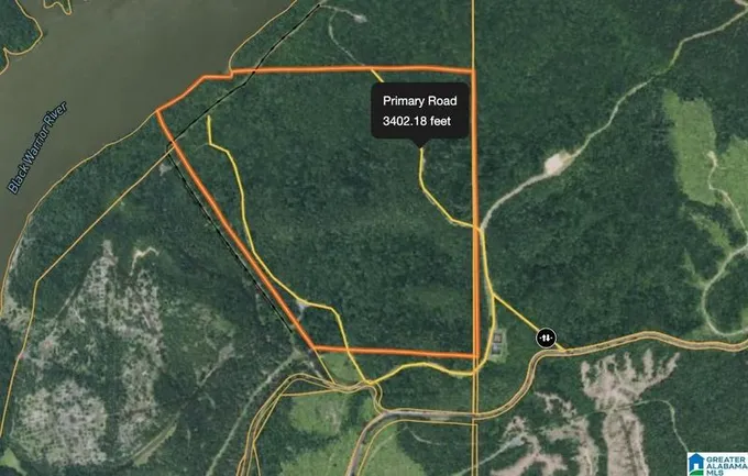 Brookwood, Tuscaloosa County, AL Undeveloped Land, Lakefront Property, Waterfront Property for sale Property ID: 418832420