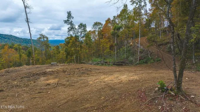 OFF PANTHER CREEK RD, Sneedville, TN 37869 Farm For Sale  MLS# 1251986 for Rent