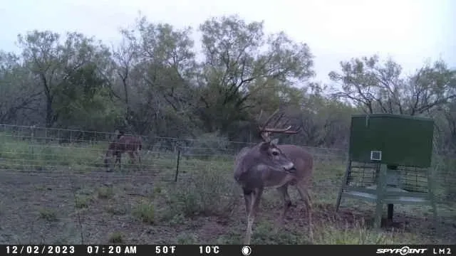 Jourdanton, Atascosa County, TX Farms and Ranches, Recreational Property, Hunting Property for sale Property ID: 418771967