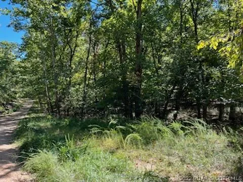 94 Cheyenne Drive, Four Seasons, MO 65049 for Sale