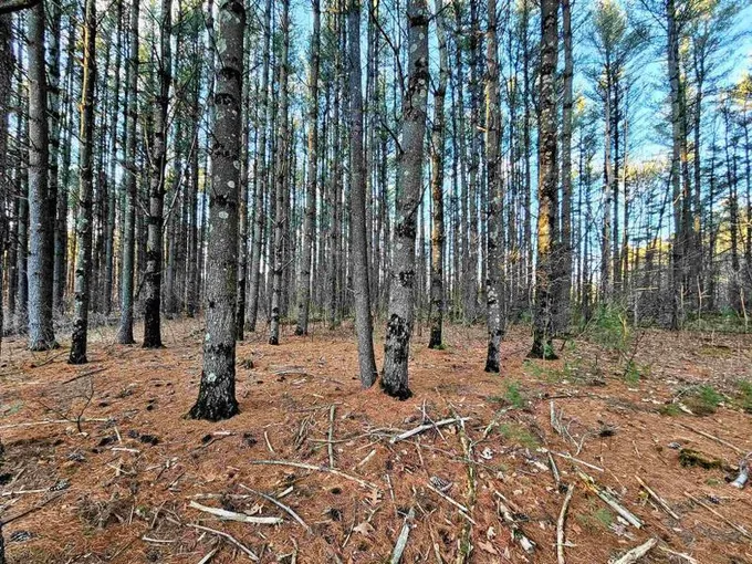 Wisconsin Dells, Adams County, WI Undeveloped Land, Homesites for sale Property ID: 418883619