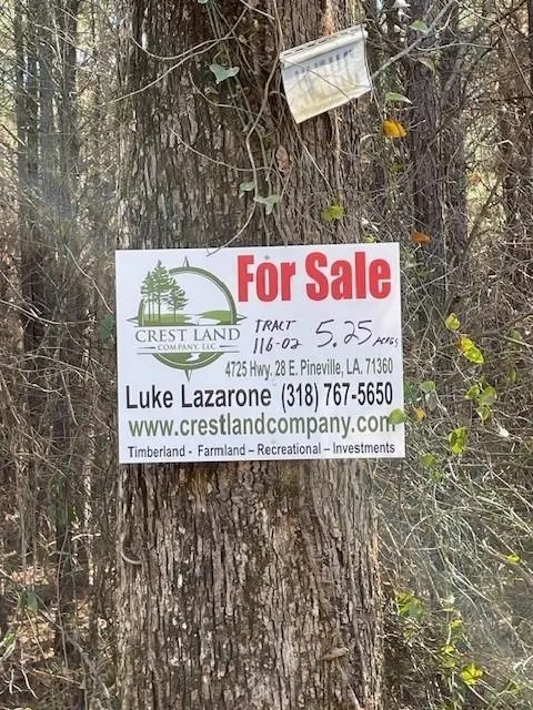 Center Point, Avoyelles Parish, LA Undeveloped Land for sale Property ID: 418708122