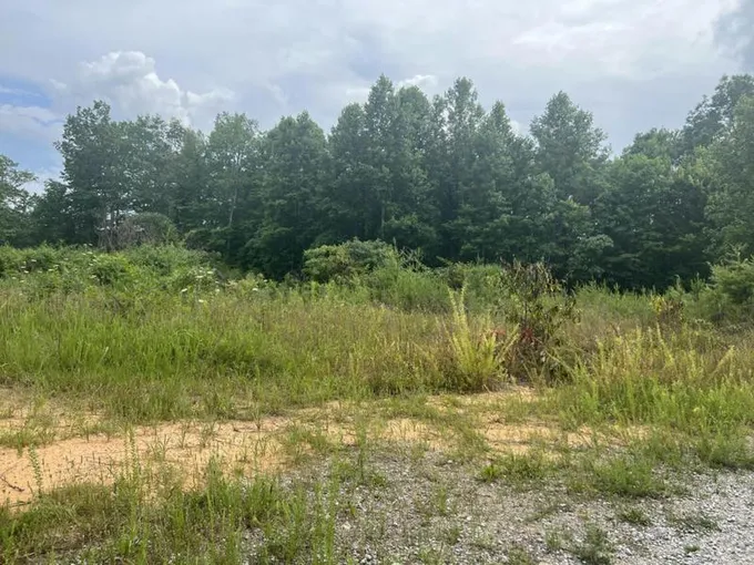 1111 HWY 90 CUMBERLAND FALLS, Whitley City, KY 42653 Farm For Sale  MLS# 24000944