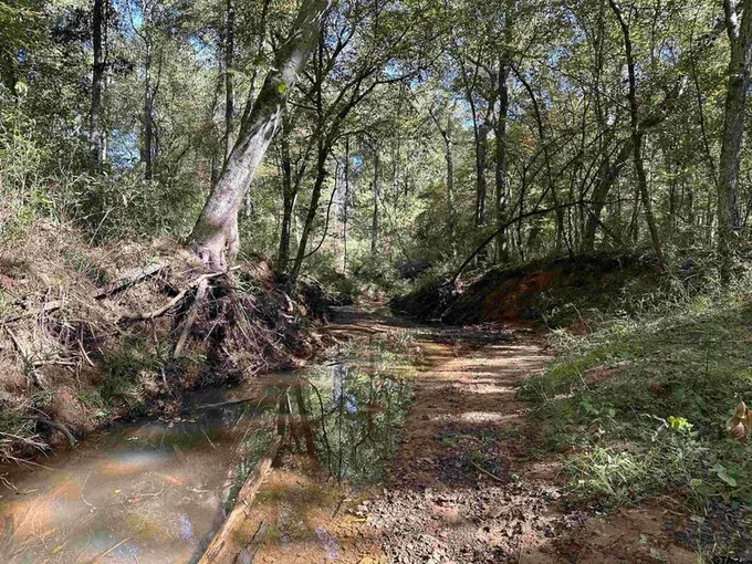 TBD FM 768, Rusk, TX 75785 for Sale