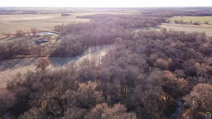 00000 OSAGE RD, Yates Center, KS 66783 Farm For Sale  MLS# 232204