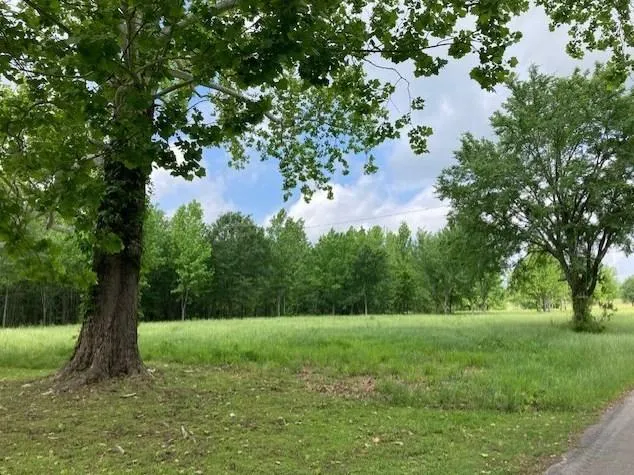 Tbd Vzcr 4511, Ben Wheeler, TX 75754 - MLS 20421542 for Sale