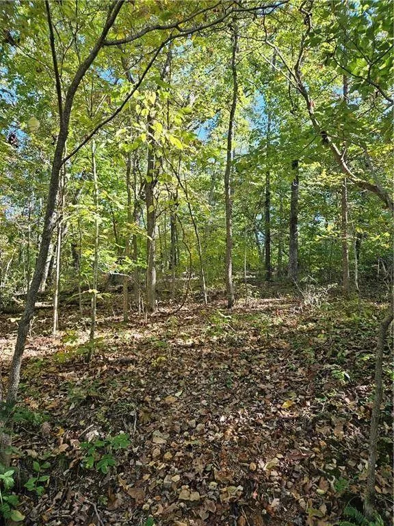Bella Vista, Benton County, AR Undeveloped Land, Homesites for sale Property ID: 417991383
