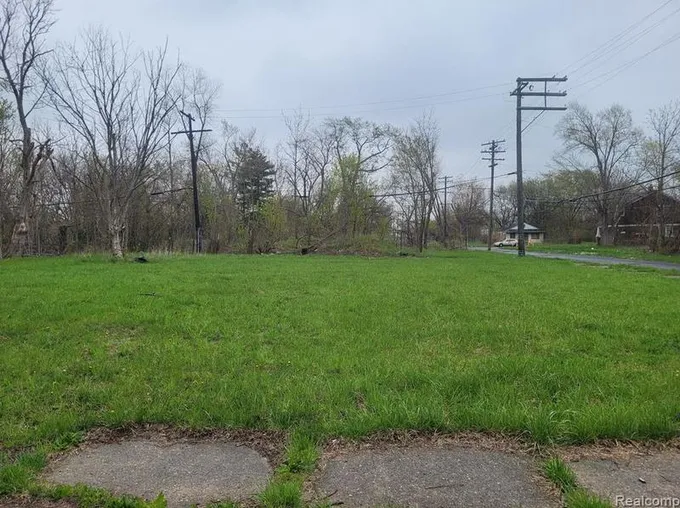 9116 May St, Detroit, MI 48213 - MLS 20230030881 for Sale