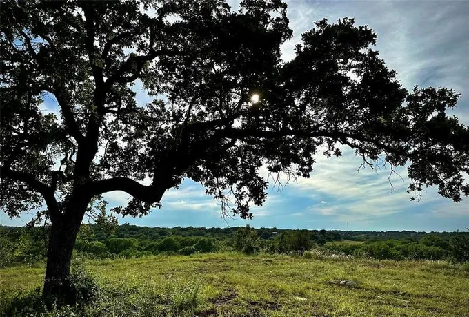 175 Memphis Ranch Rd, Paradise, TX 76073 for Sale