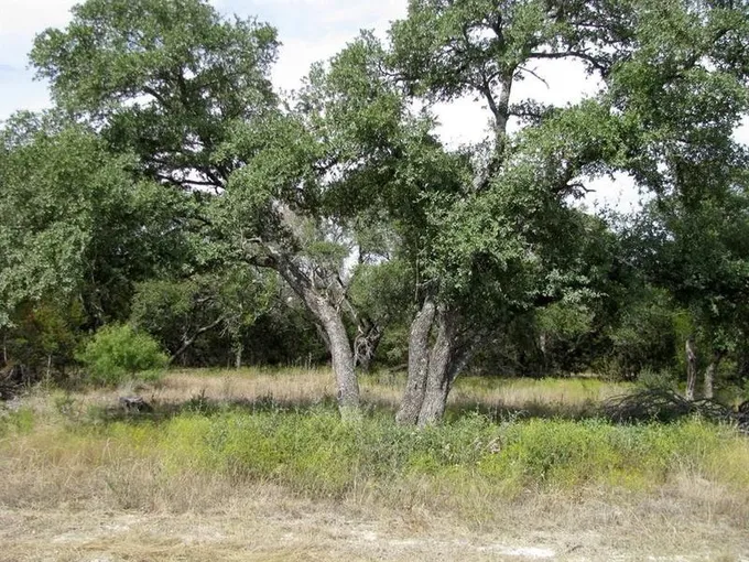 Evant, Coryell County, TX Farms and Ranches for sale Property ID: 418084919