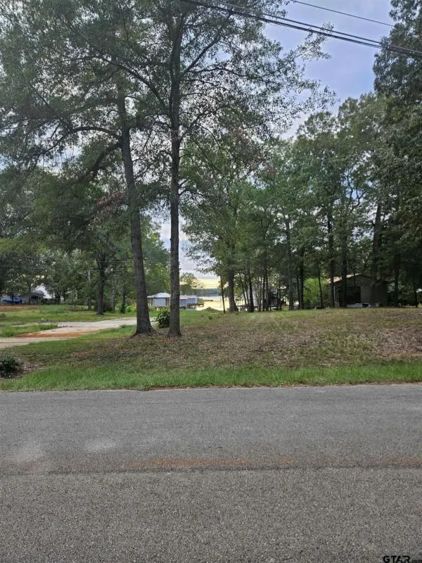 TBD W LAKEVIEW DR LOT 135, Troup, TX 75789 Single Family Residence For Sale  MLS# 23013885