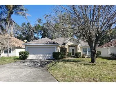 Dalmation Ln E for Sale