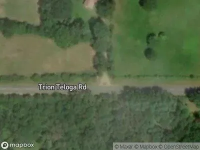 Trion Teloga Rd for Sale