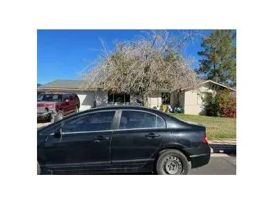 W Elena Ave for Sale