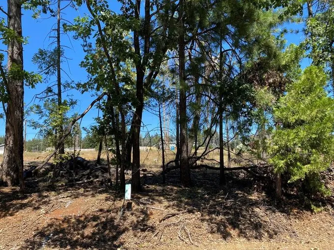 0 S Park Dr, Magalia, CA 95954 - MLS SN23147402 for Sale