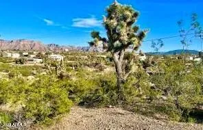 30118 N Surf Cove #291, Meadview, AZ 86444 - MLS 6543338 for Sale