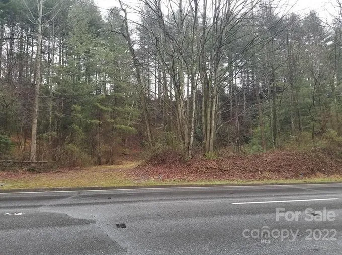 1778 Asheville Hwy, Brevard, NC 28712 - MLS 3592287 for Sale