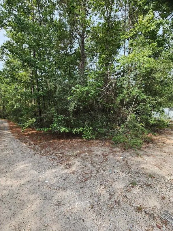 290 Deodar Drive, Brookeland, TX 75931 for Sale