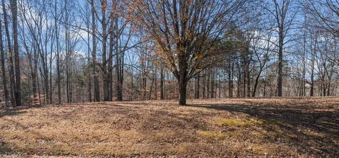 0 RIDGEVIEW RUN, Lynchburg, TN 37352 Land For Sale  MLS# 2599811