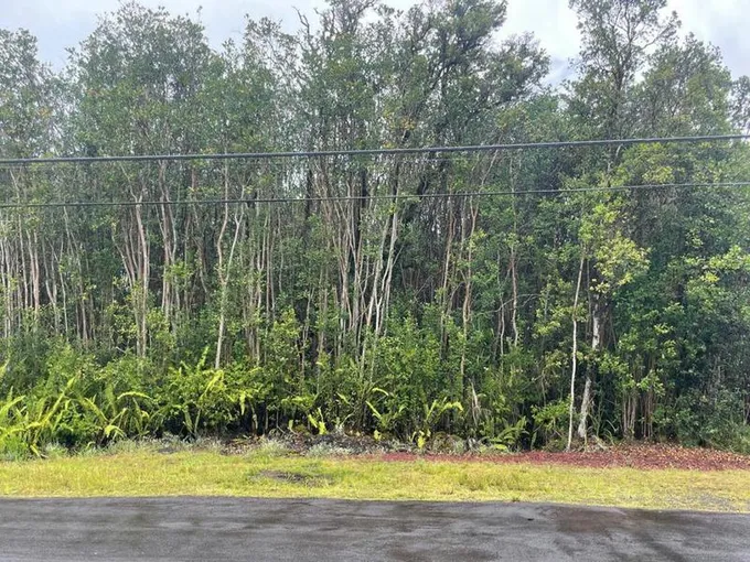LEHUA ST, MOUNTAIN VIEW, HI 96771 Land For Sale  MLS# 704655