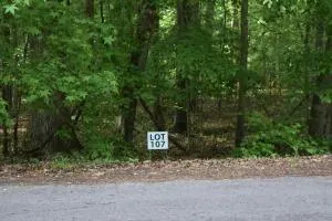 107 TREASURE TREE RD, Ten Mile, TN 37880 Land For Sale  MLS# 1008696 for Rent