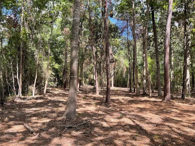 0 County Road 3704 B, SPLENDORA, TX 77372 for Sale