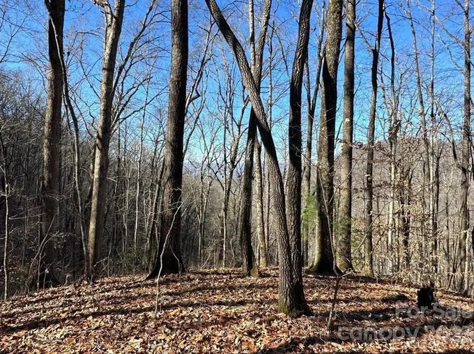 Lot 7 Elders Rd, Franklin, NC 28734 - MLS 4096641 for Sale