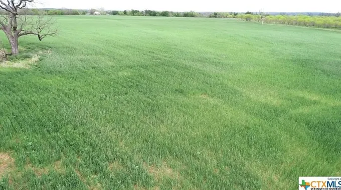 21255 W Fm 580, Lometa, TX 76853 - MLS 507290 for Sale