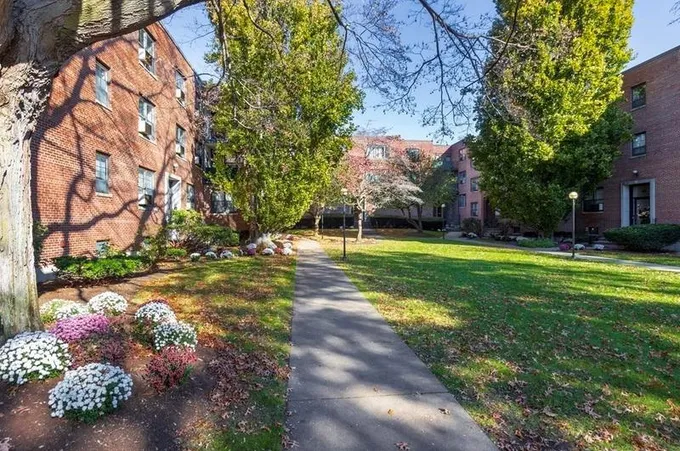 51 Harvard Ave #1, Brookline, MA 02446 - MLS 73188971 for Rent
